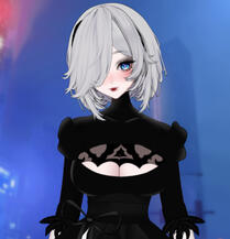 .*2b Waifu⭒.⋆