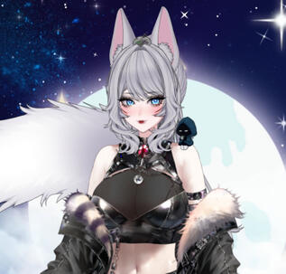 ˚Leather Look˚✩彡