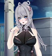 ‧₊Lady in black˚